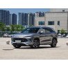 BYD Song L DM-i 112KM