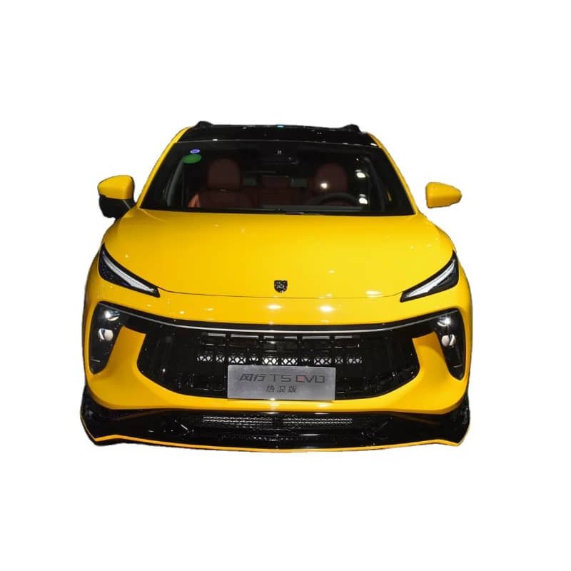 Luxury Ato Suv Car EEC Dongfeng Forthing Luxury Ato Suv Car EEC Dongfeng Forthing