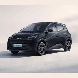 Byd Seagull 2024