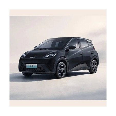 Byd Seagull 2024