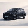 Byd Seagull 2024