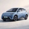Byd Seagull 2024