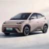 Byd Seagull 2024