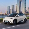 Byd Seagull 2024