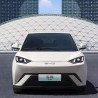 Byd Seagull 2024