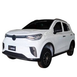 Véhicule électrique 4x4