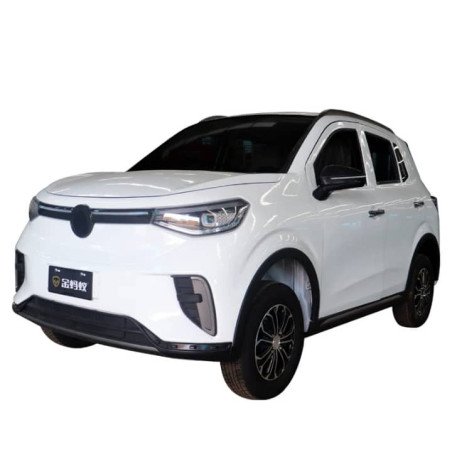 Véhicule électrique 4x4