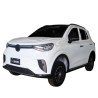 Véhicule électrique 4x4